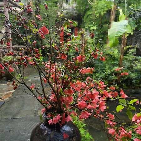 WuYuan QiYe YanXiang Guesthouse Bagian luar foto