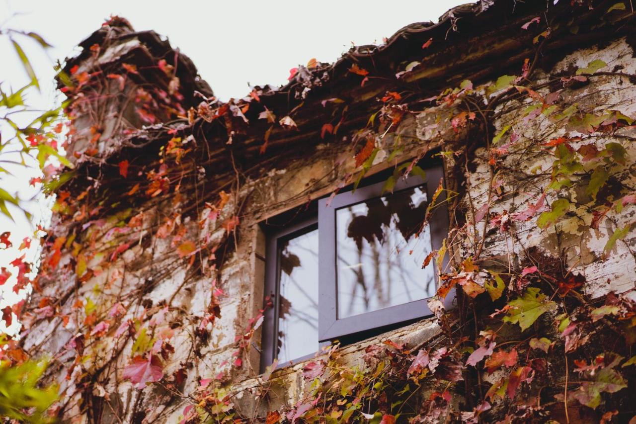 WuYuan QiYe YanXiang Guesthouse Bagian luar foto